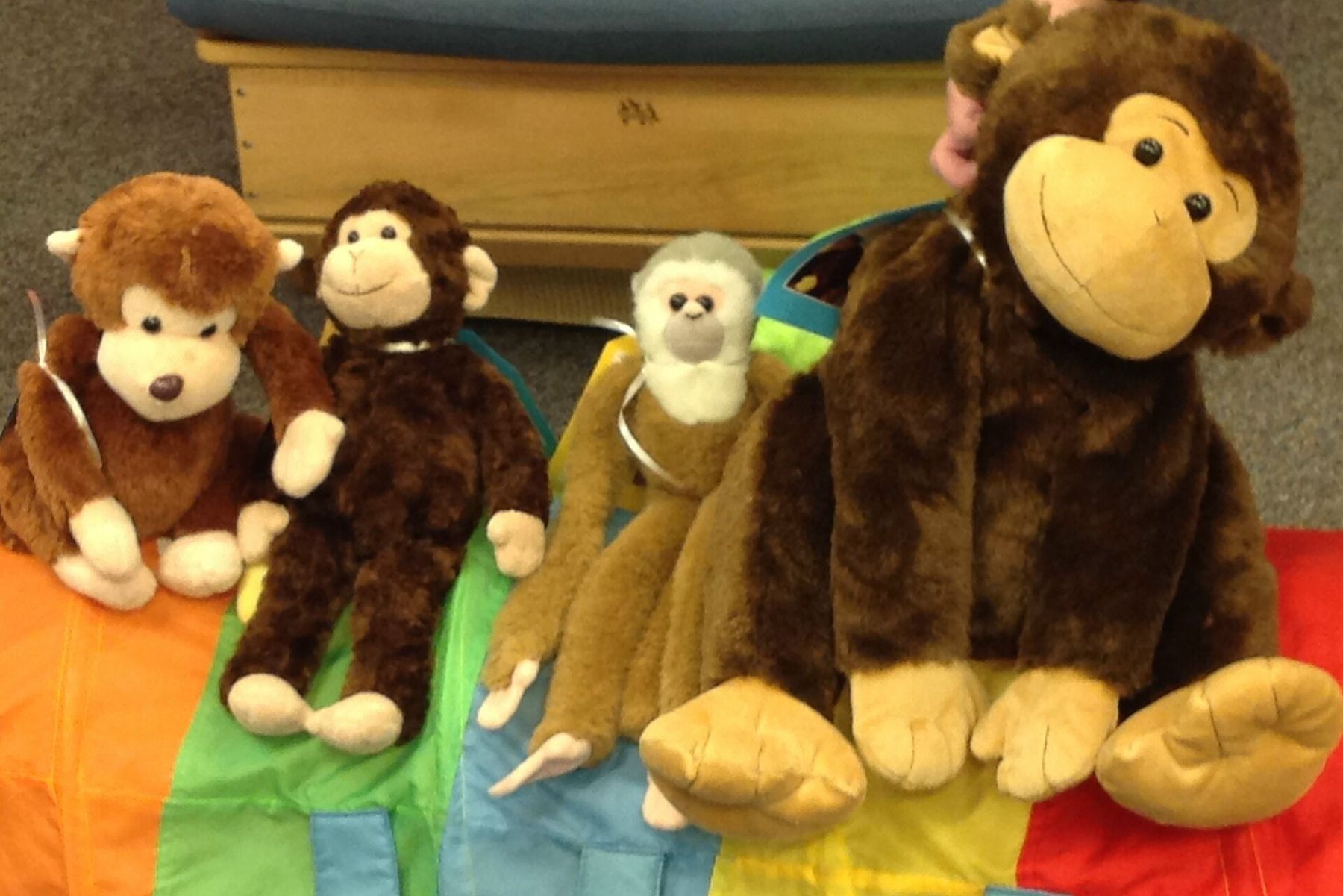 Plush monkeys of different sizes on a rainbow play parachute